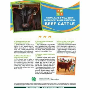 4-H Animal Care & Well-Being Poster - Beef Cattle