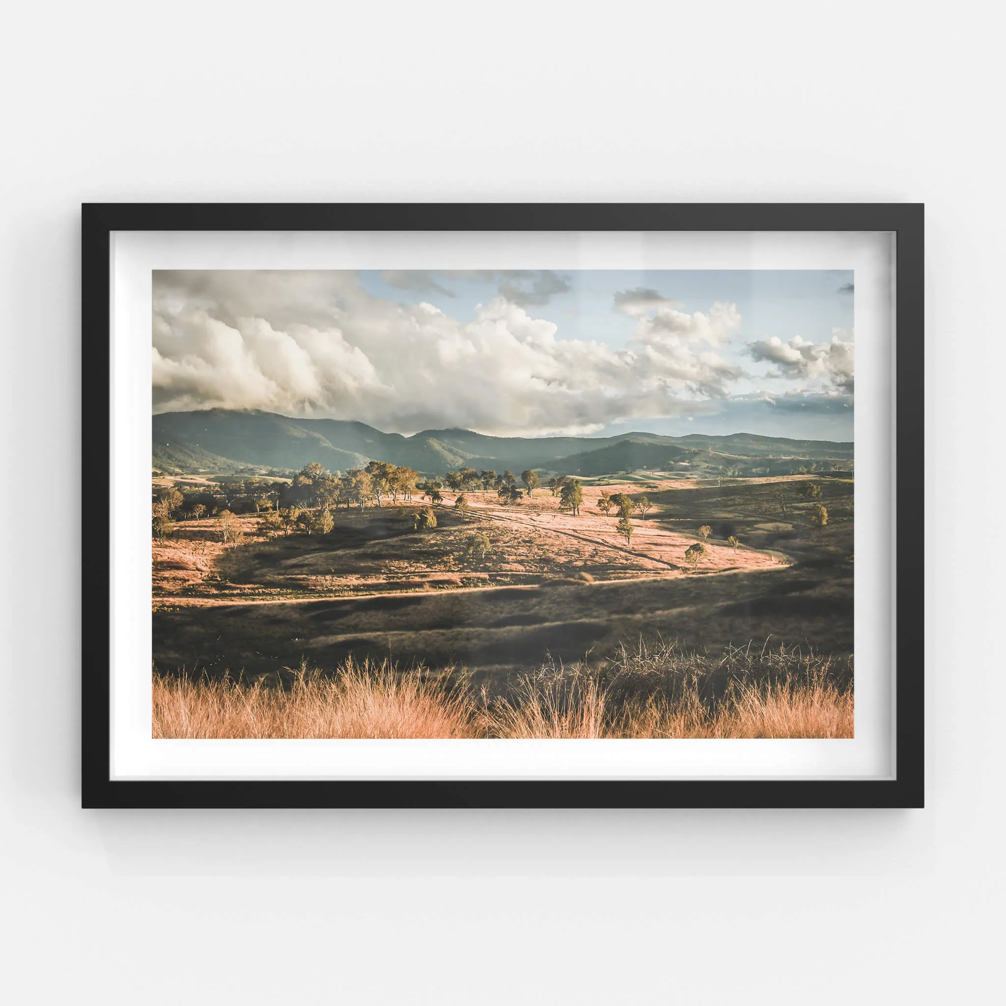 Candelo Sunset | Landscapes