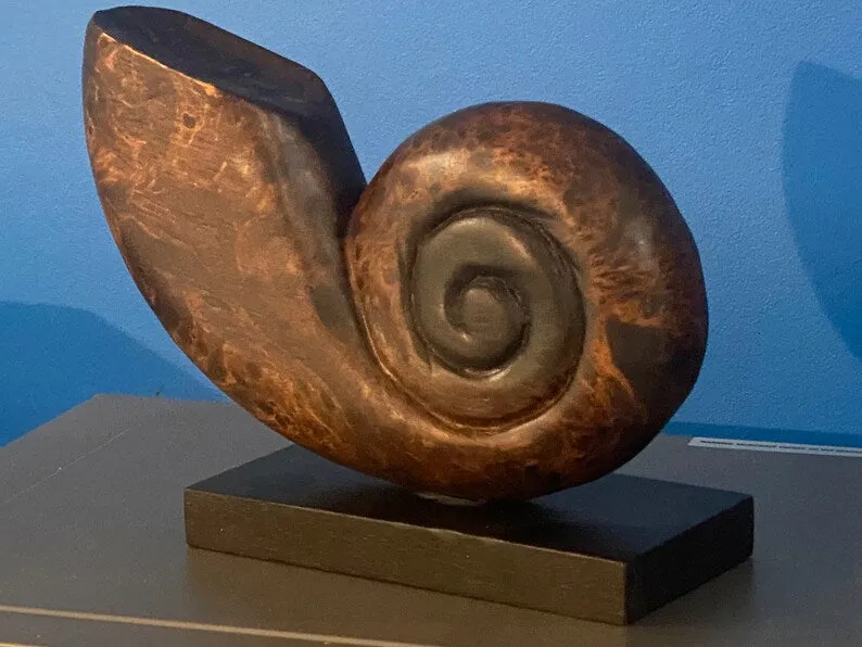 Hand Carved Acacia Wooden Shell on Stand, 26x20x7.5cm