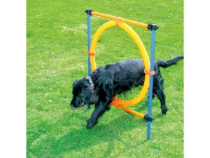 PAWISE  Agility Ring