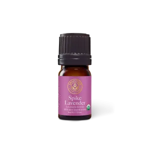 Spike Lavender Essential Oil